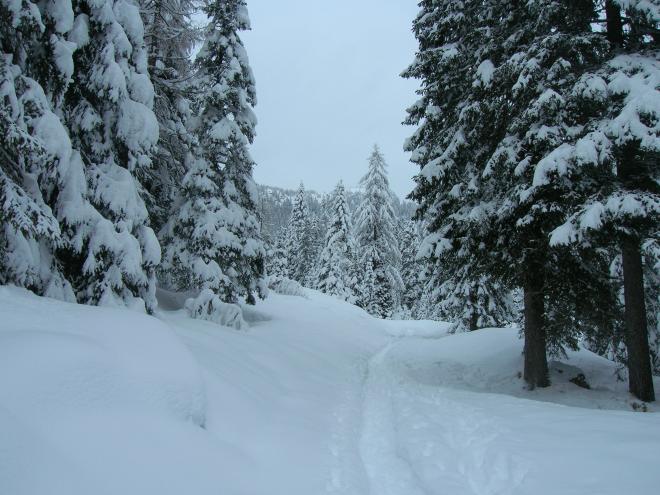 San Martino di Castrozza